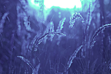 Similar image 10496866