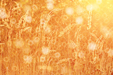 Similar image 10496867