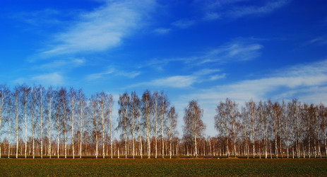 Similar image 10496875