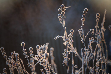 Similar image 10496876