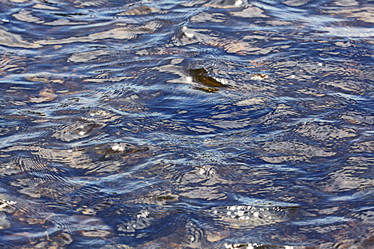 Similar image 10496889