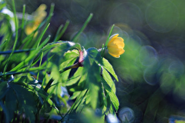 Similar image 10496894