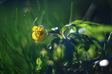 Similar image 10496895