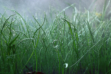 Similar image 10496896