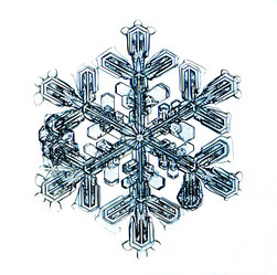 Similar image 10496906