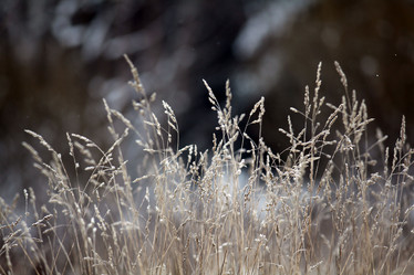 Similar image 10496909