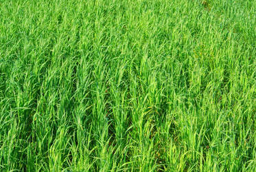 Similar image 10496912