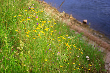 Similar image 10496914