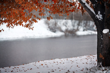 Similar image 10496923