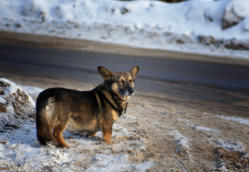 Similar image 10496924