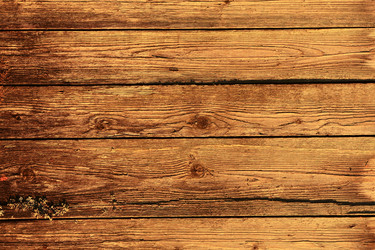 Similar image 10496927