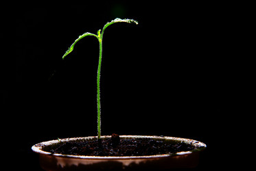 Similar image 10496929