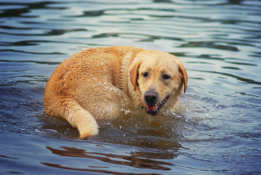 Similar image 10496930