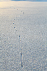 Similar image 10496937