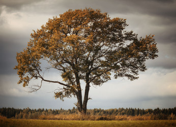 Similar image 10496939