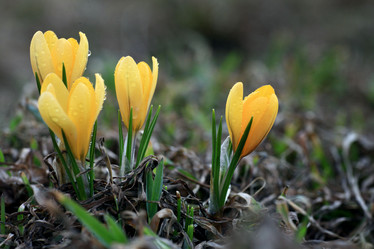 Similar image 10496940