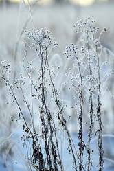 Similar image 10496947