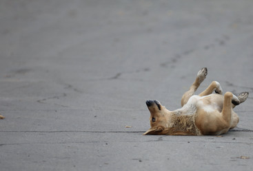 Similar image 10496948