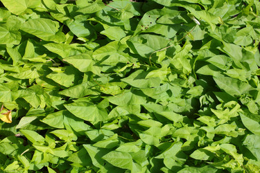 Similar image 10496949