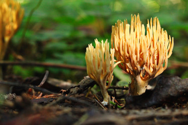 Similar image 10496950