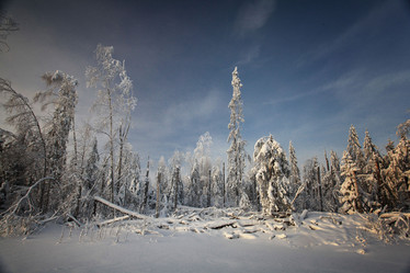 Similar image 10496951