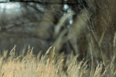 Similar image 10496952