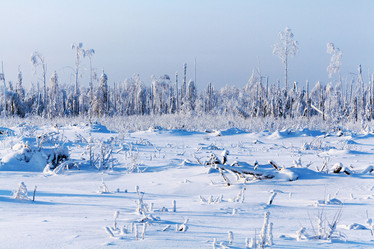 Similar image 10496954