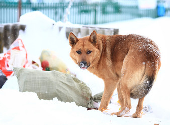 Similar image 10496955