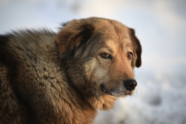 Similar image 10496960