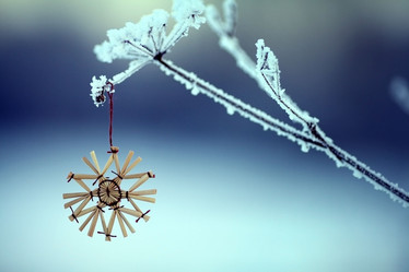 Similar image 10496962