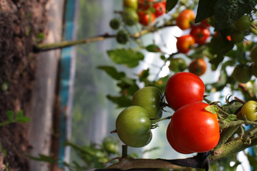 Similar image 10496964