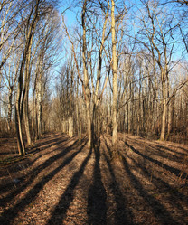 Similar image 10496966