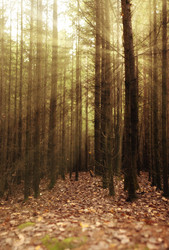 Similar image 10496970