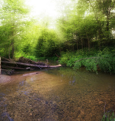 Similar image 10496971