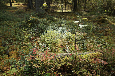 Similar image 10496972