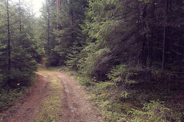 Similar image 10496974