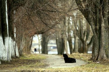 Similar image 10496979