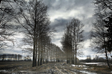 Similar image 10496980