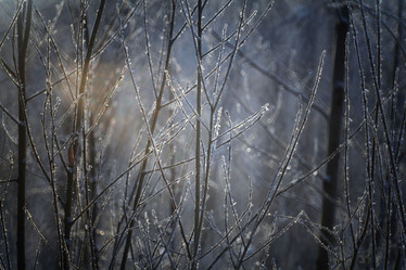 Similar image 10496981