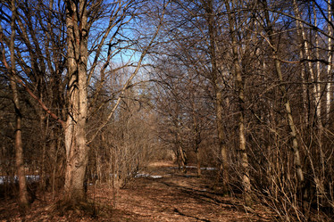 Similar image 10496985