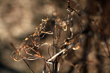 Similar image 10496988