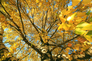 Similar image 10496993