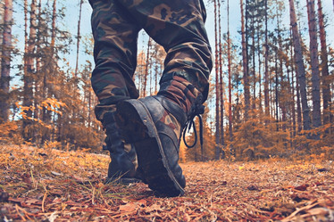 Similar image 10497000