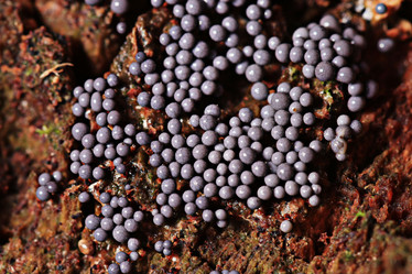 Similar image 10497001