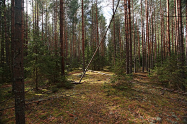 Similar image 10497002