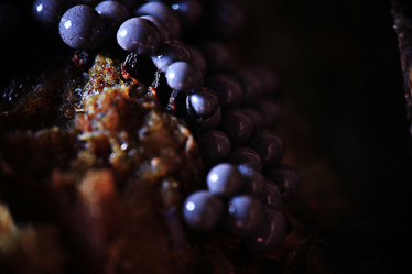 Similar image 10497007