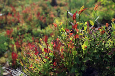 Similar image 10497008