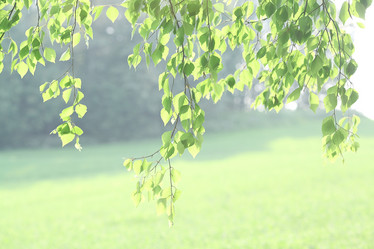 Similar image 10497011