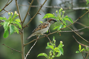 Similar image 10497017