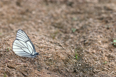 Similar image 10497019